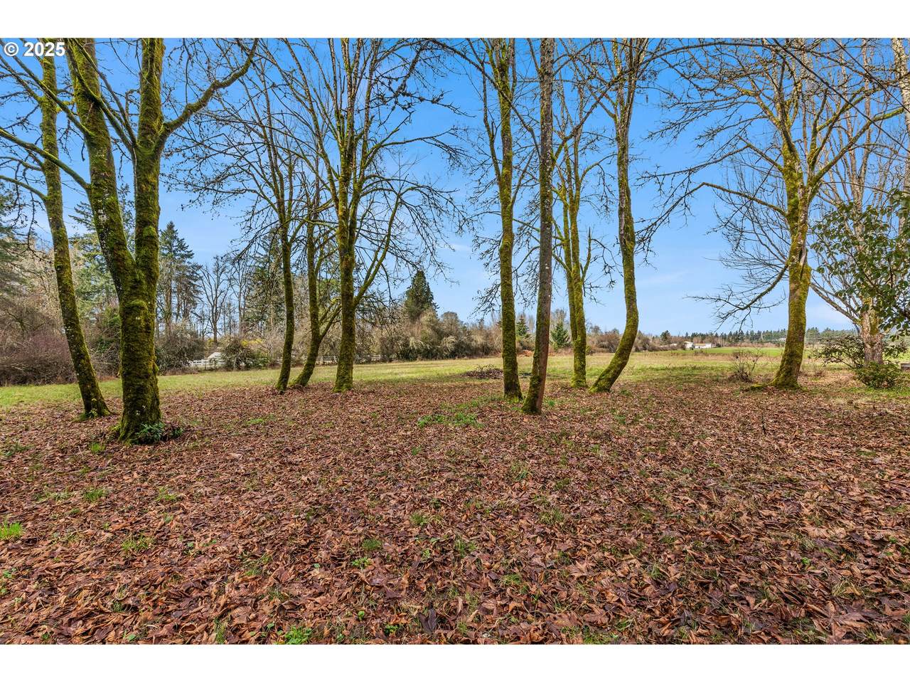 5565 Kruse Rd - Photo 1