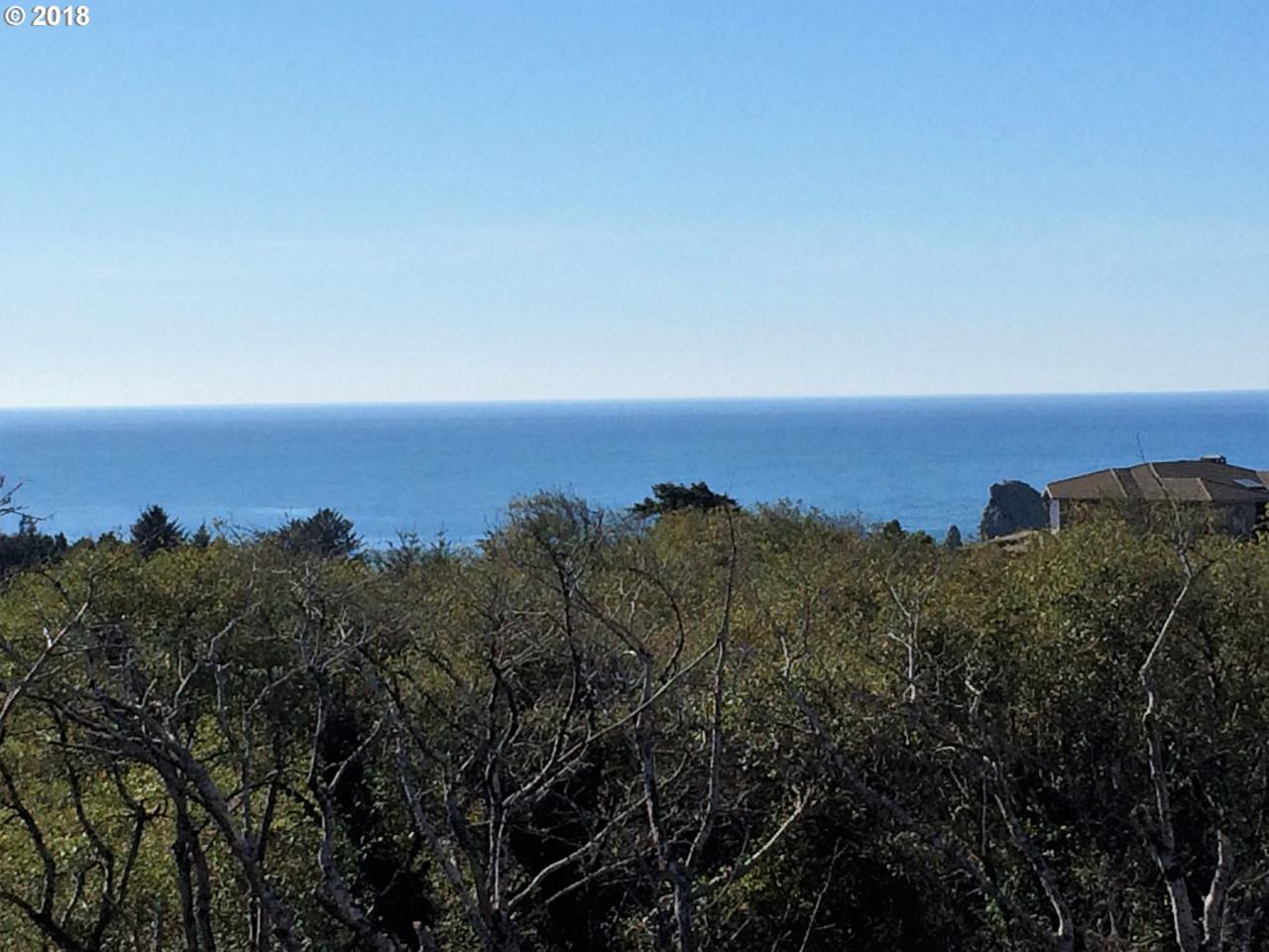 Ocean Park Dr - Photo 1