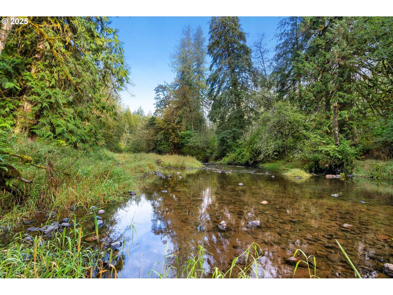 0000 Cedar Creek Rd - Photo 1