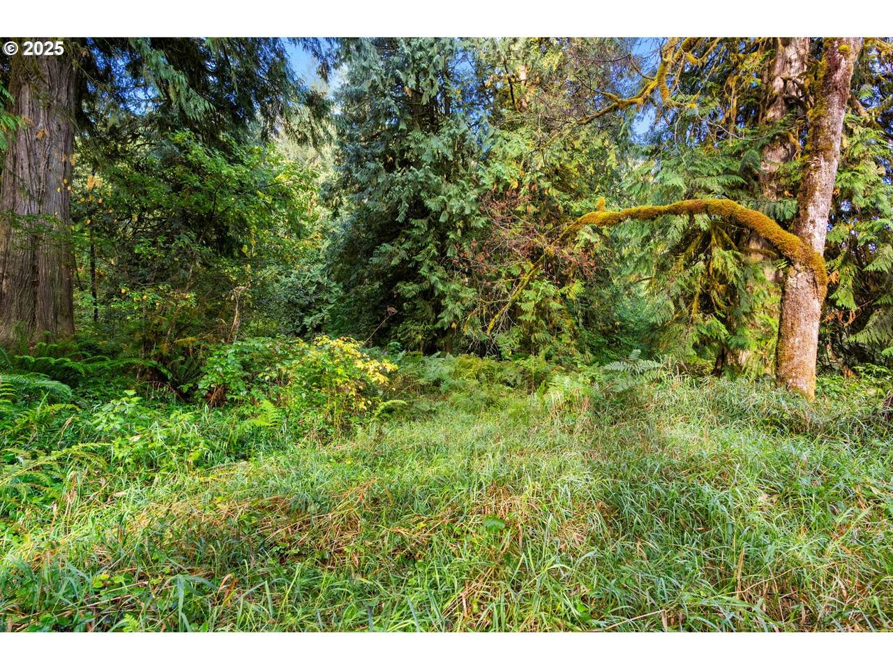 https://bt-photos.global.ssl.fastly.net/portland/1280_boomver_1_183053856-2.jpg