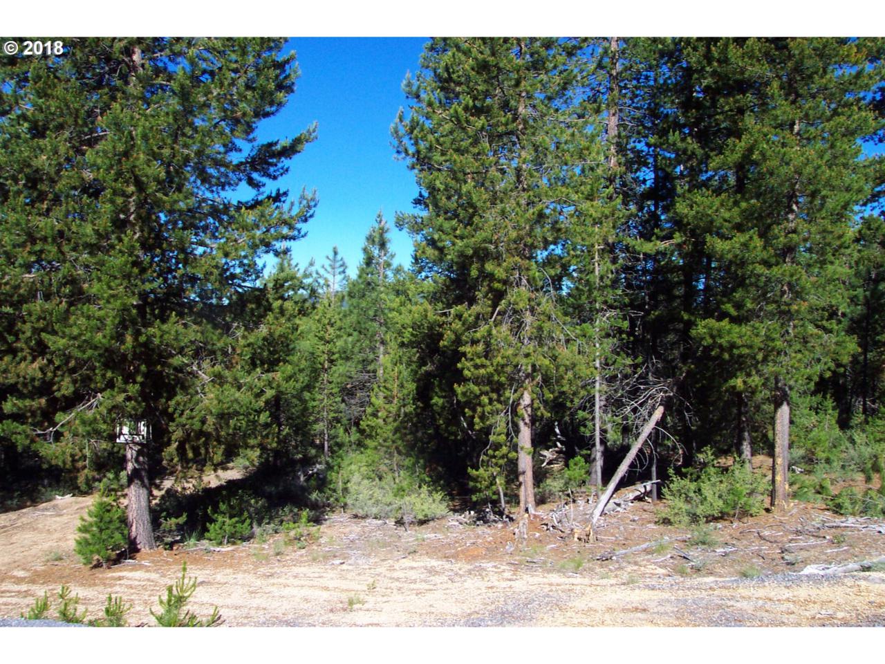 4300 Bear Flat Rd - Photo 1