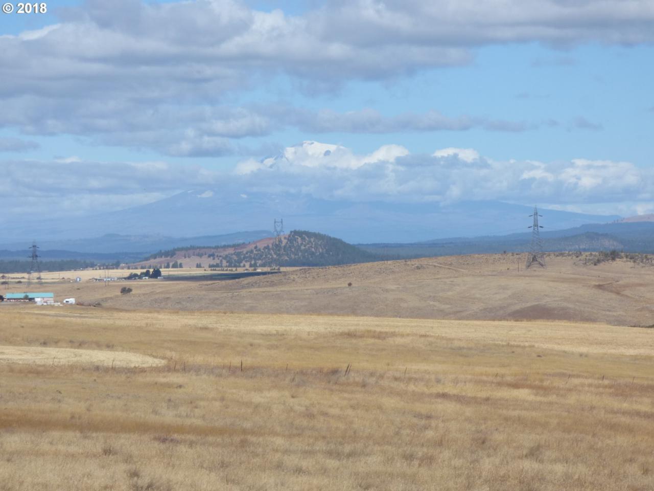 Peggy Ln - Photo 1