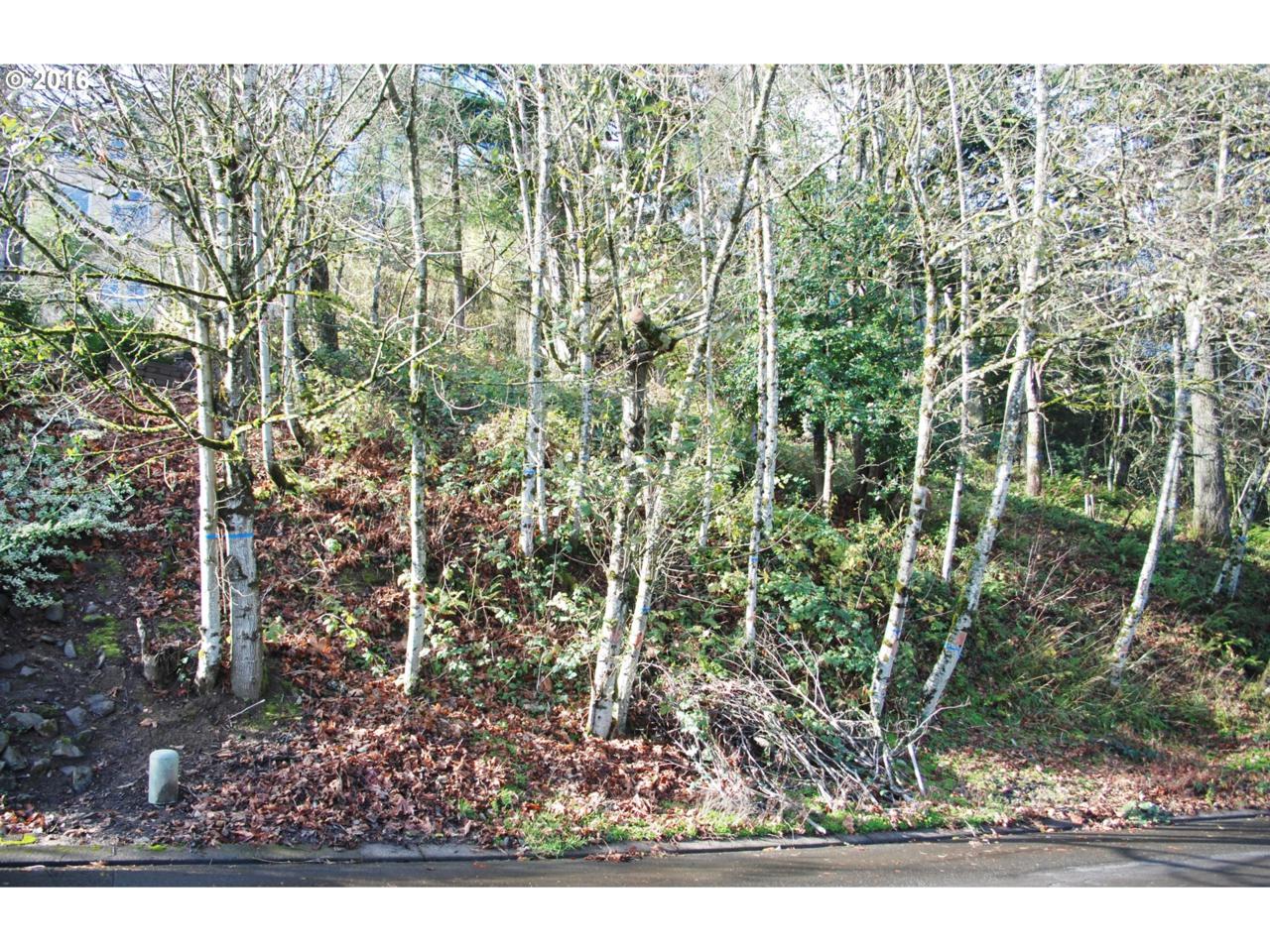 12 Hidalgo St - Photo 1
