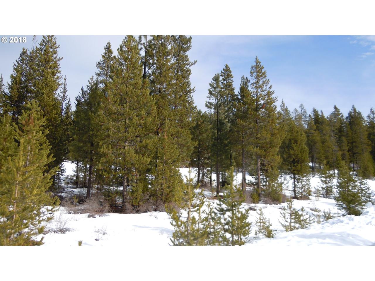 Walker Mountain Rd - Photo 1