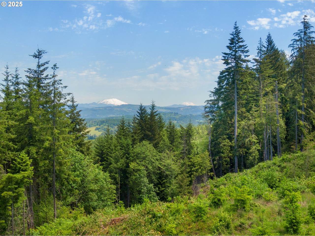  Meissner Rd - Photo 1