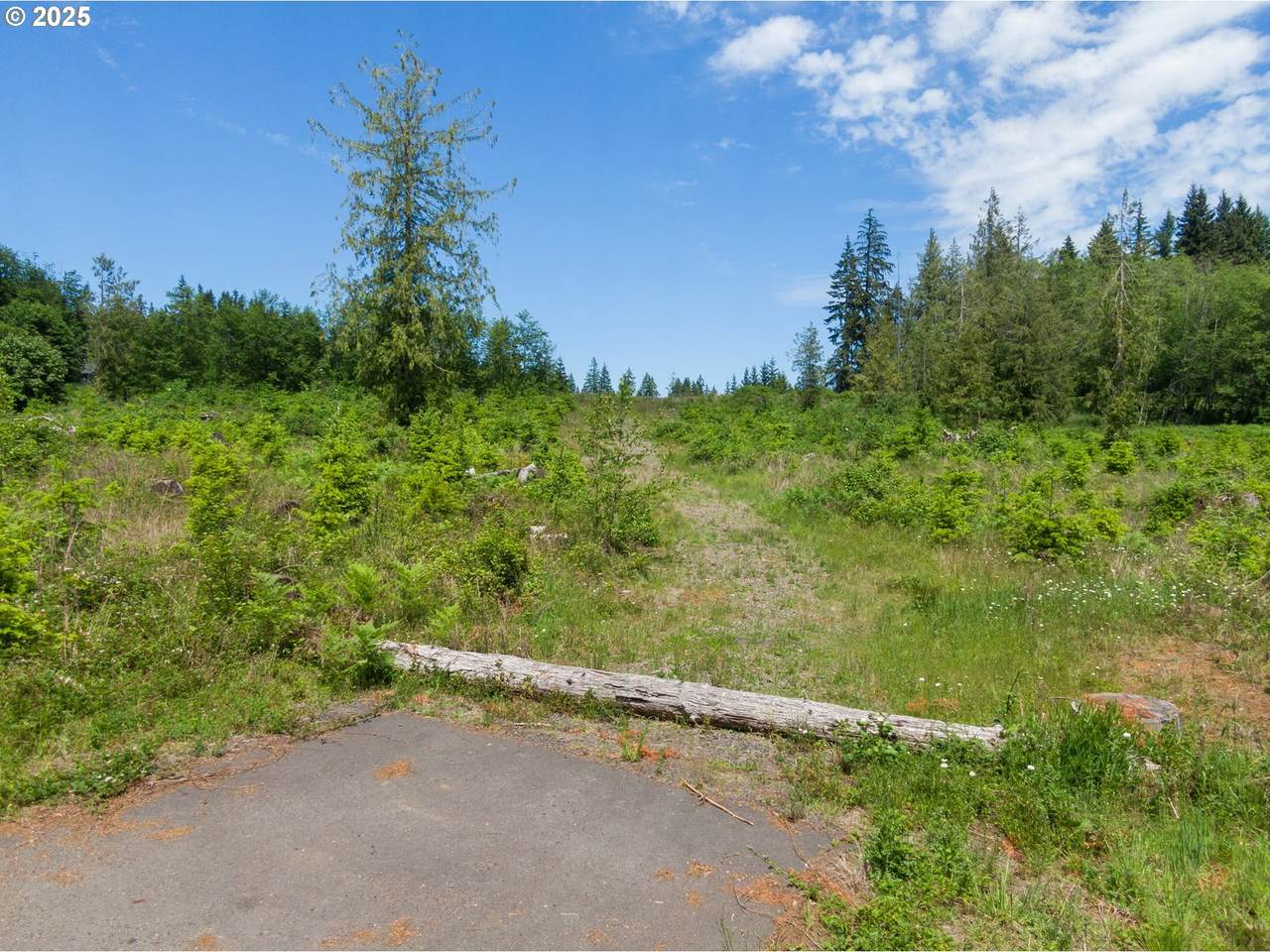 https://bt-photos.global.ssl.fastly.net/portland/1280_boomver_1_184527517-2.jpg