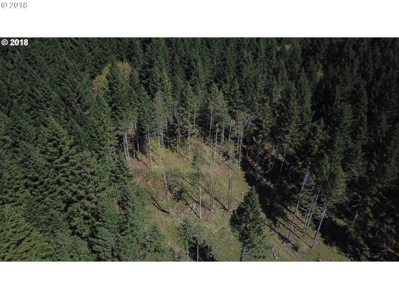 0 Panther Creek Rd - Photo 1
