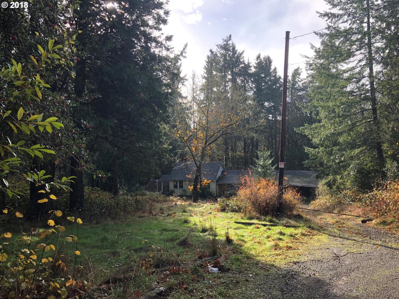 12440 Laidlaw Rd - Photo 1