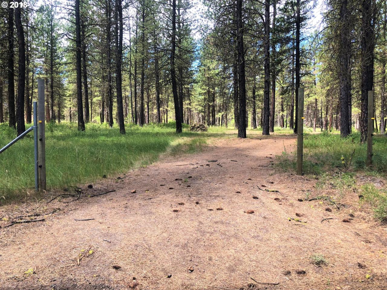 Boardman Way - Photo 1