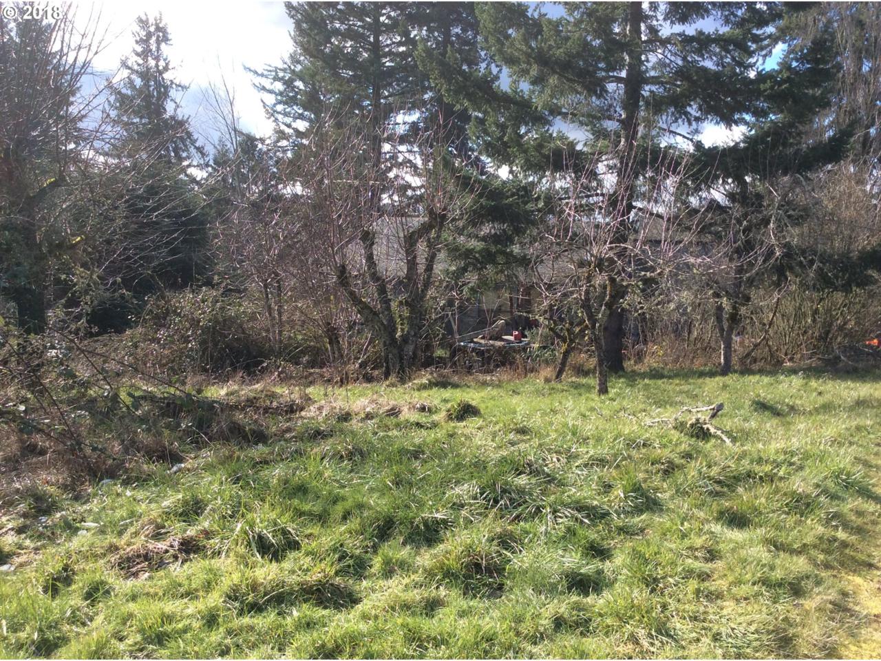 36902 Hibbard Rd - Photo 1