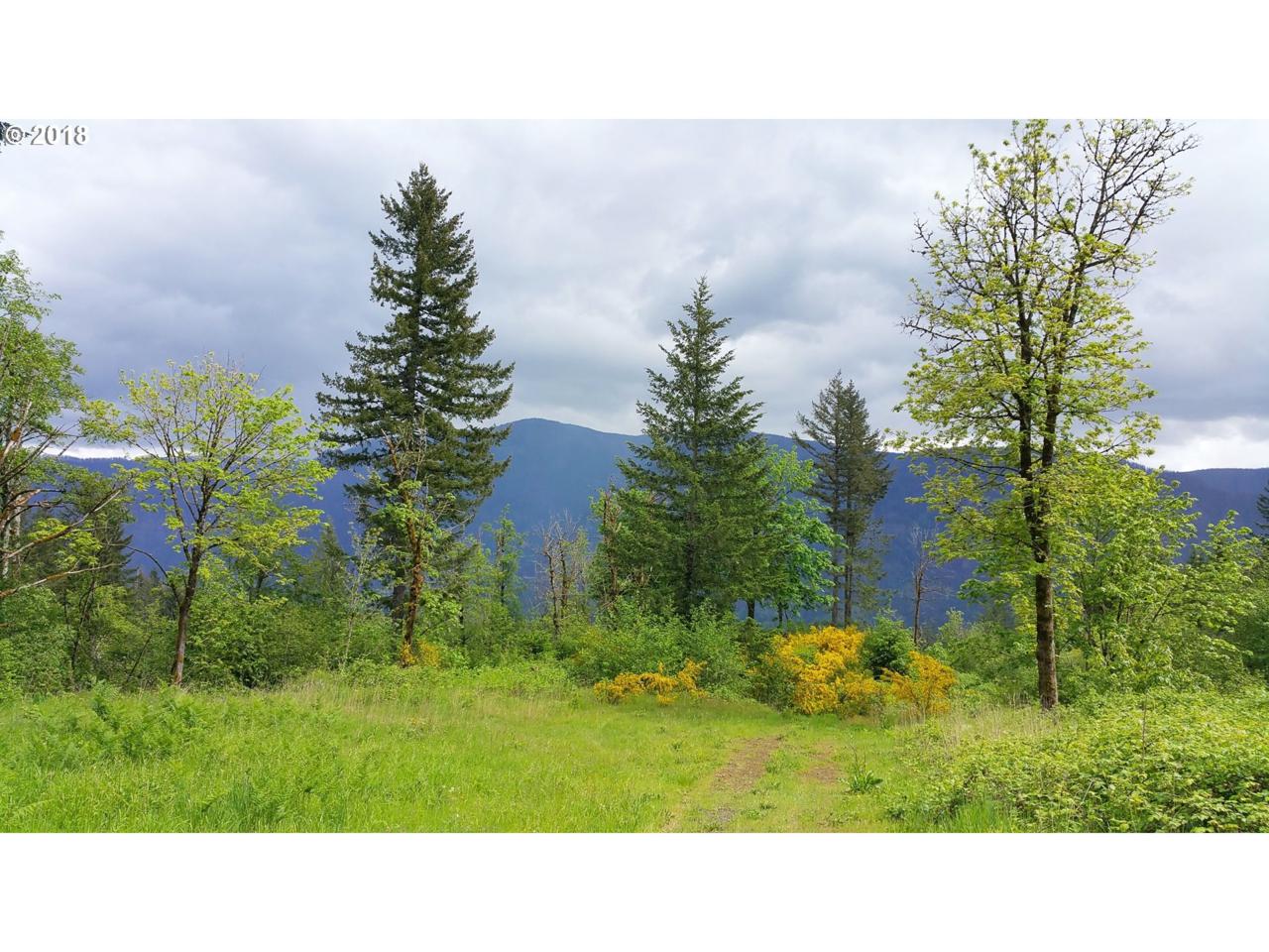 1800 Duncan Creek Rd - Photo 1