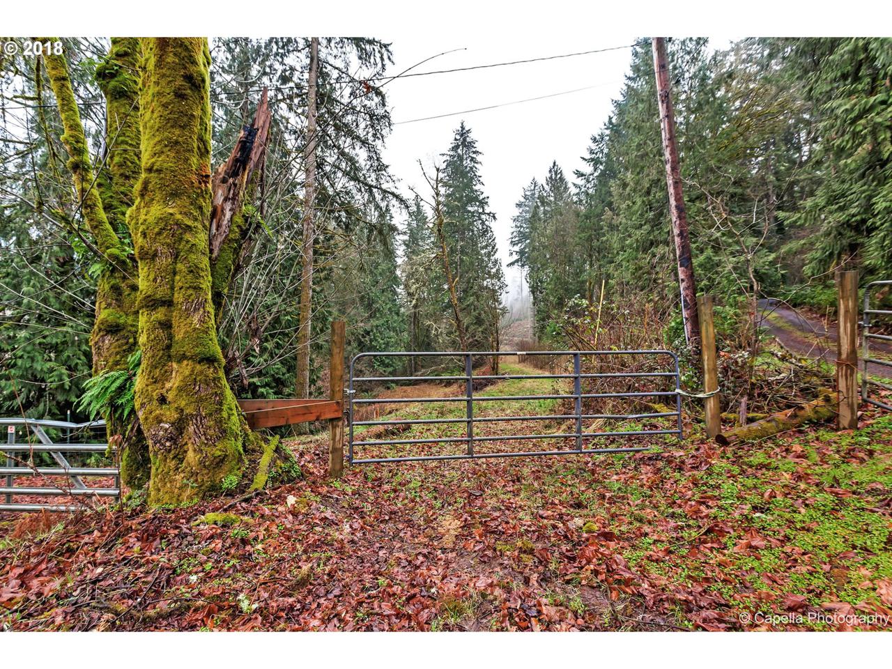 0 Sw Mountain Creek Rd - Photo 1