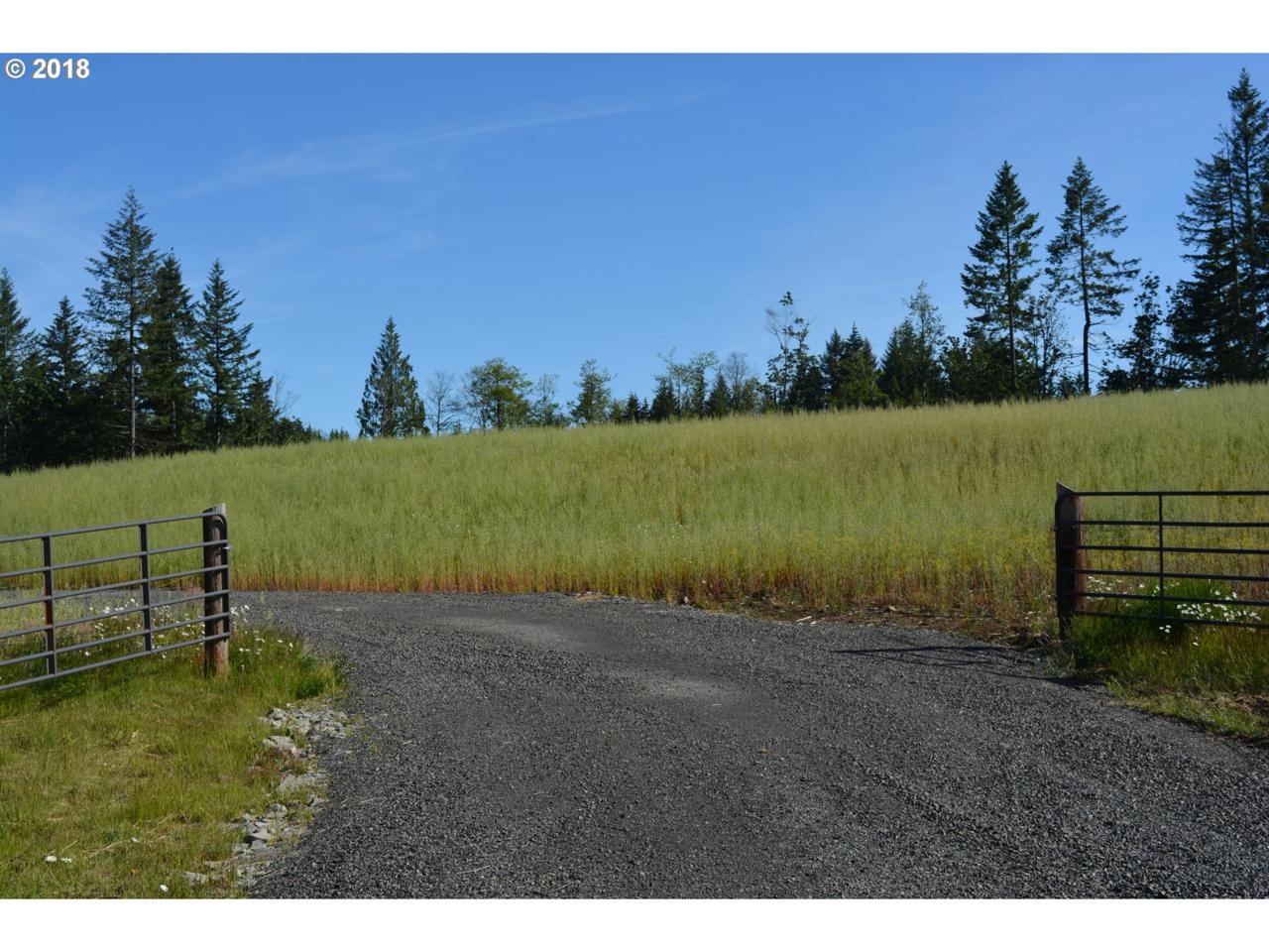 30765 Willow Grace Ln - Photo 1
