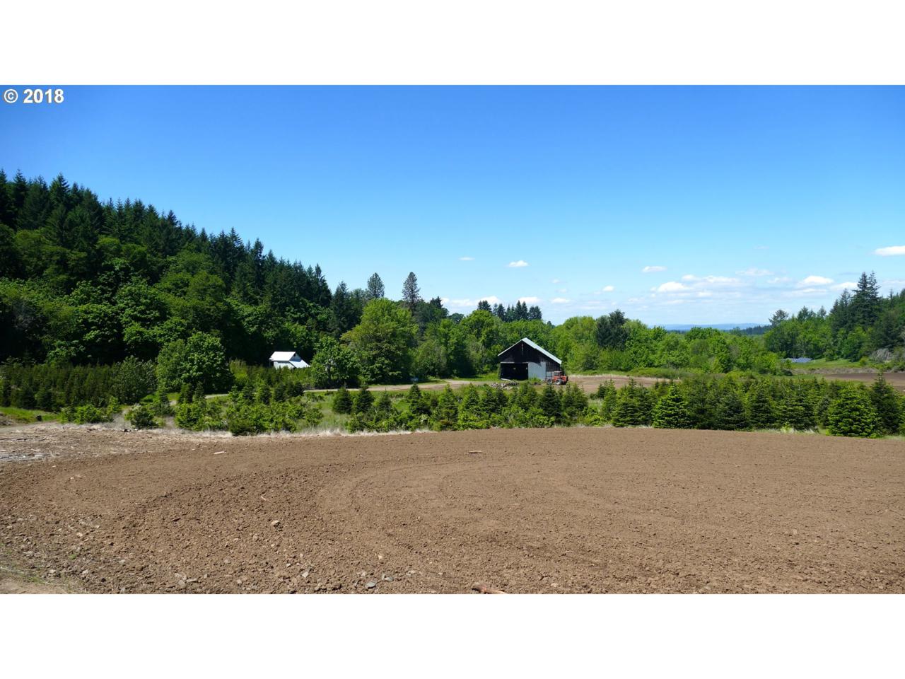 9912 Wildcat Rd - Photo 1