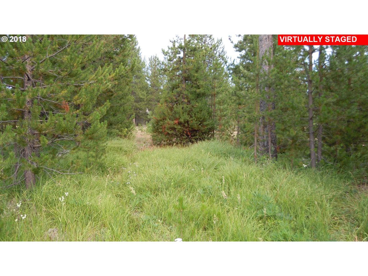 39 Shoshoni Dr - Photo 1
