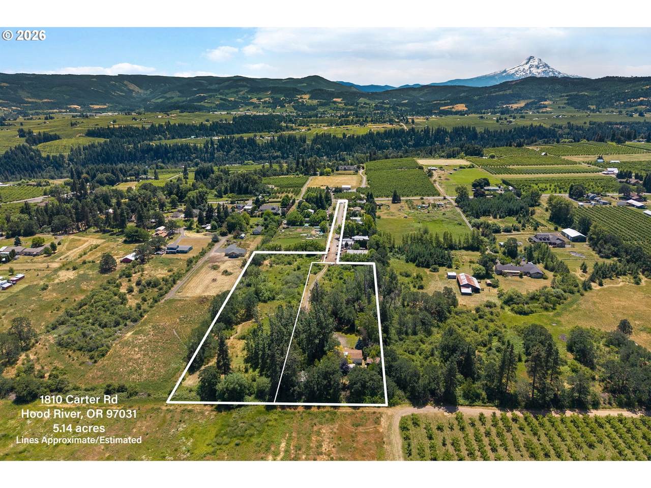 1810 Carter Rd - Photo 1