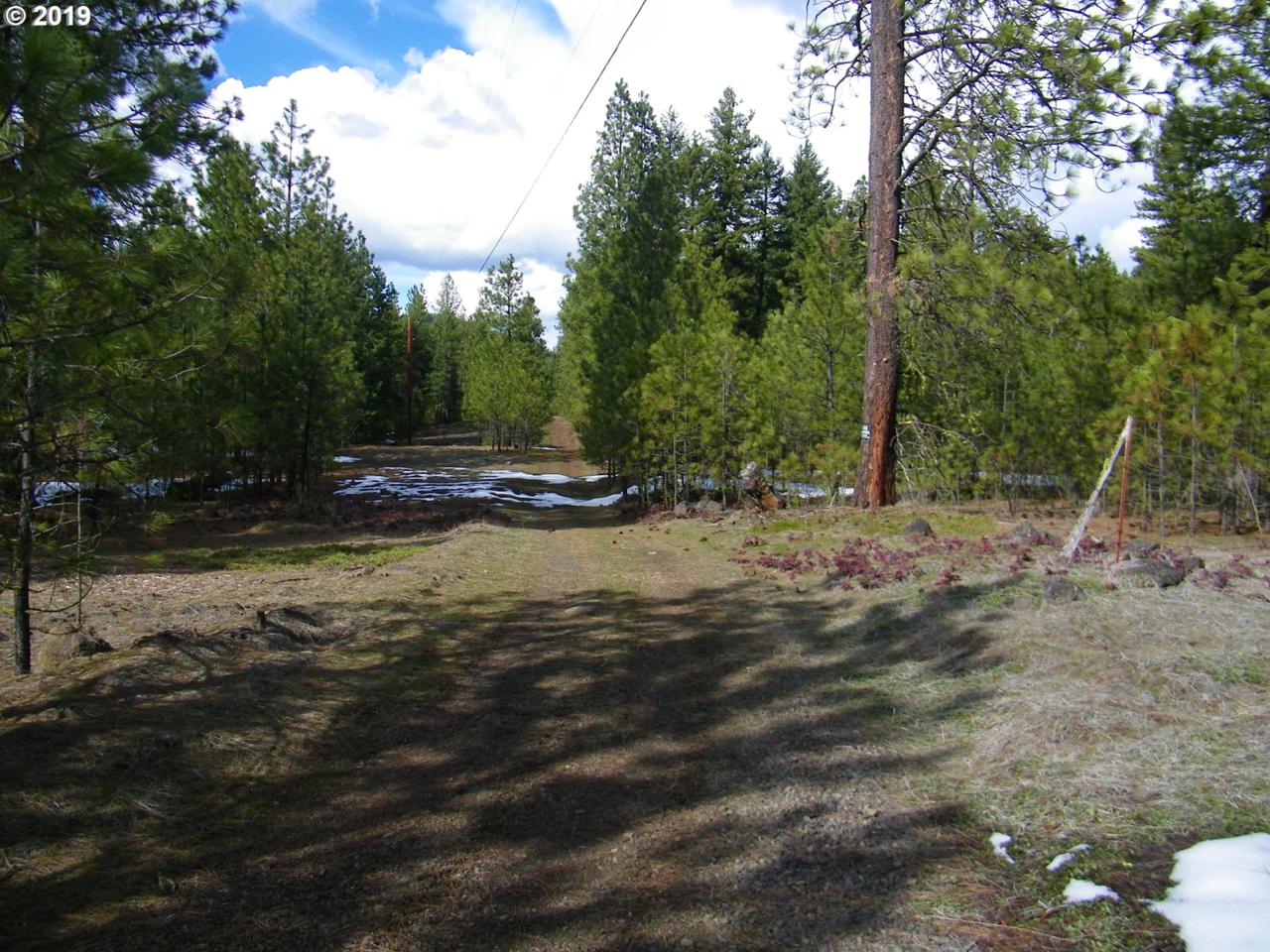 Browns Rd - Photo 1