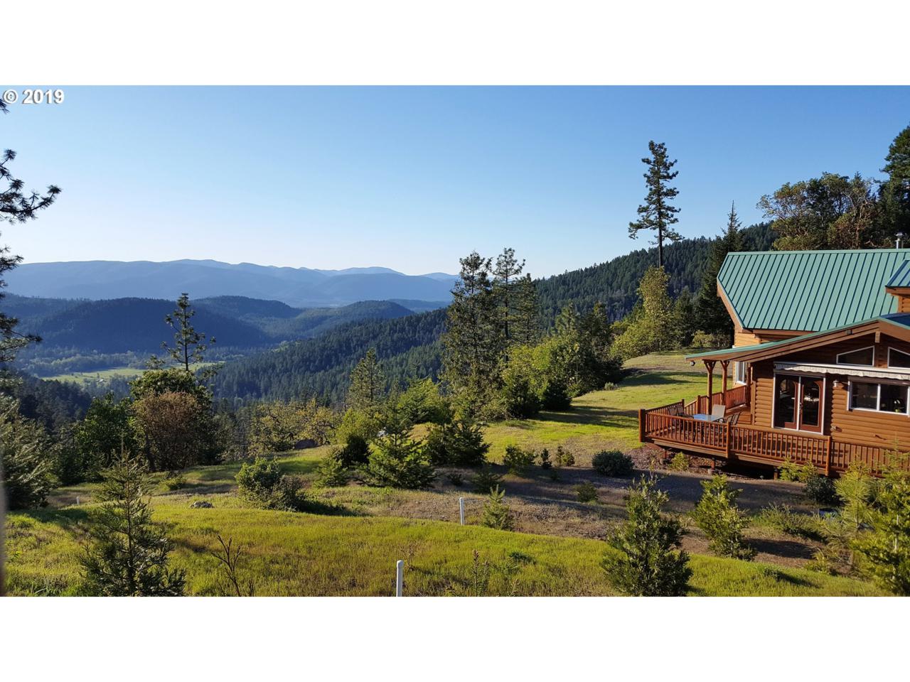 1555 Page Creek Rd - Photo 1