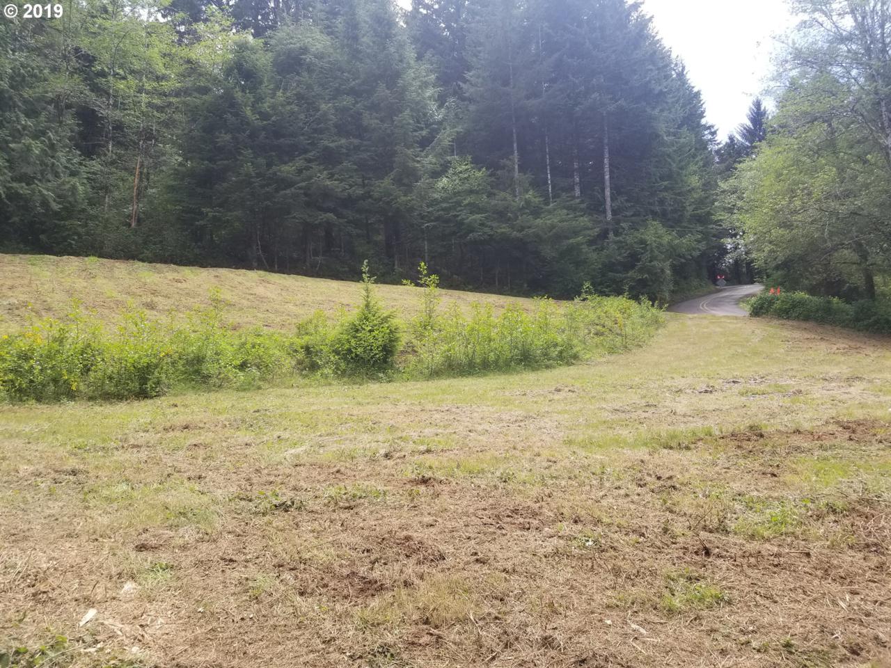 0 Alderwood Ln - Photo 1