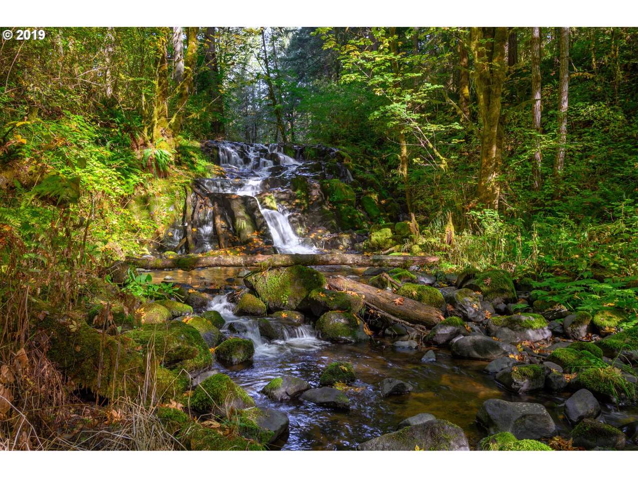 0 Gilbert Creek Rd - Photo 1