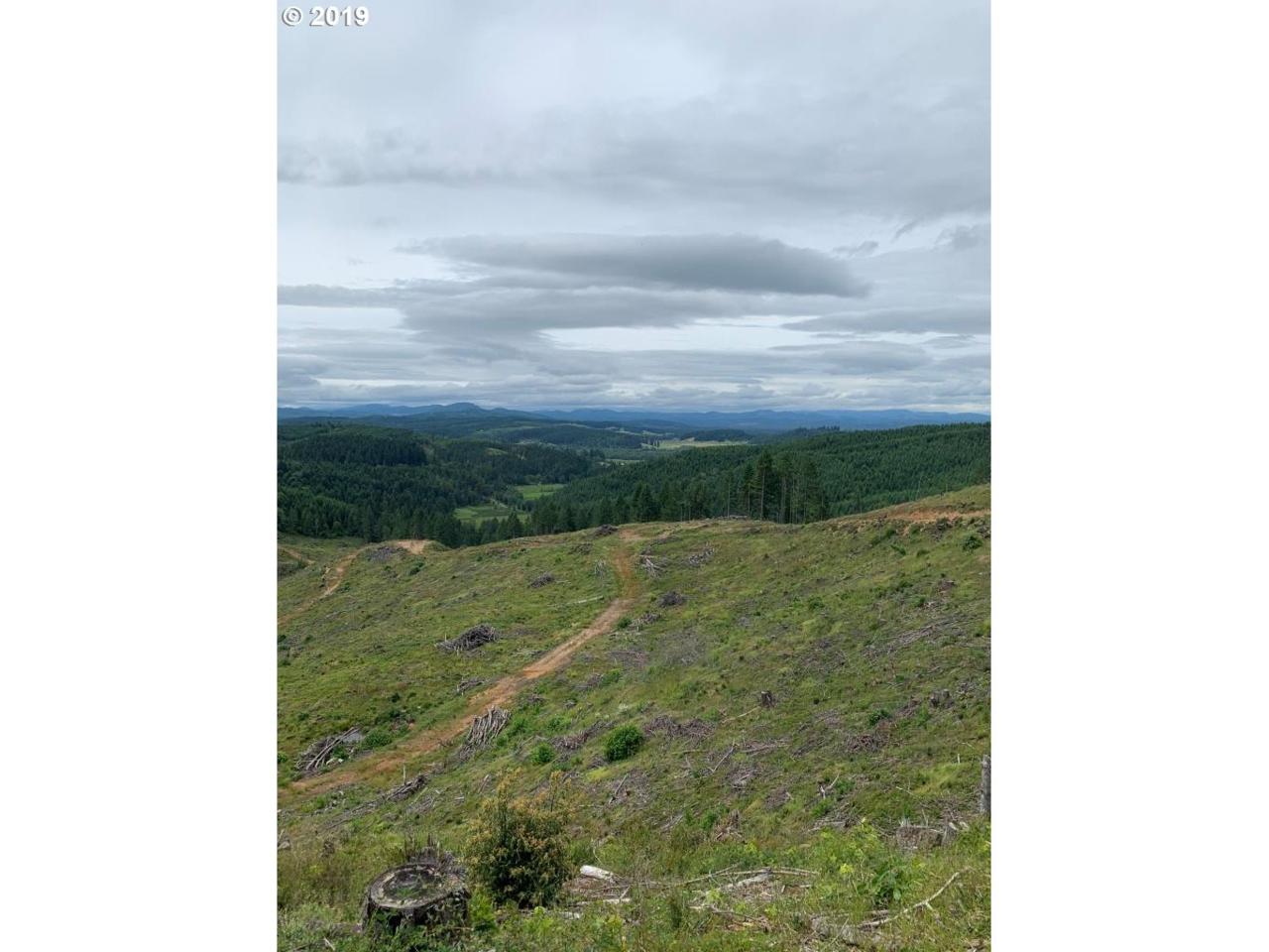 Briggs Hill - Photo 1