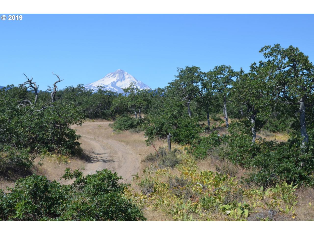 Skyline Rd - Photo 1