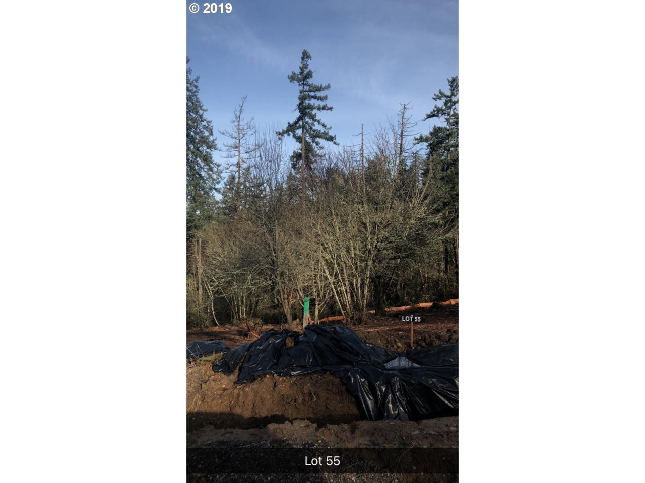 Rockress Rd - Photo 1