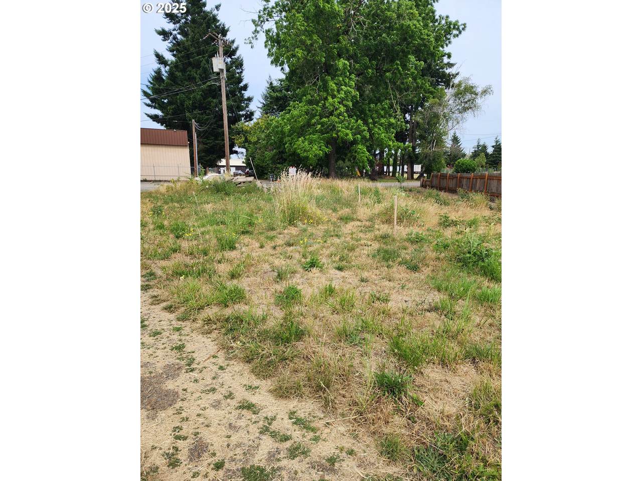 3515 Brooks Ave - Photo 1