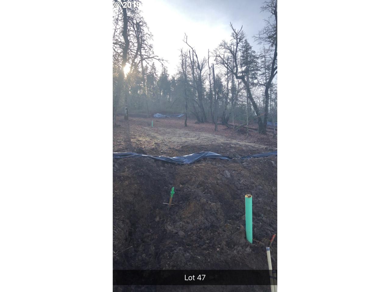 Rockress Rd - Photo 1