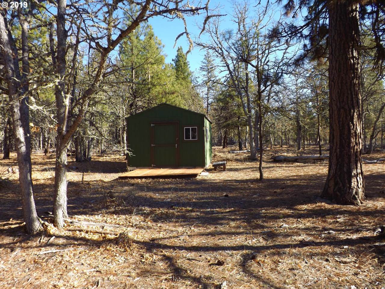 116 Meacham Rd - Photo 1