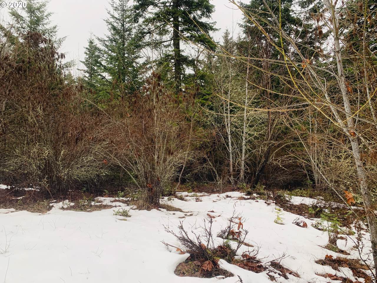 43 Mcvey Rd - Photo 1