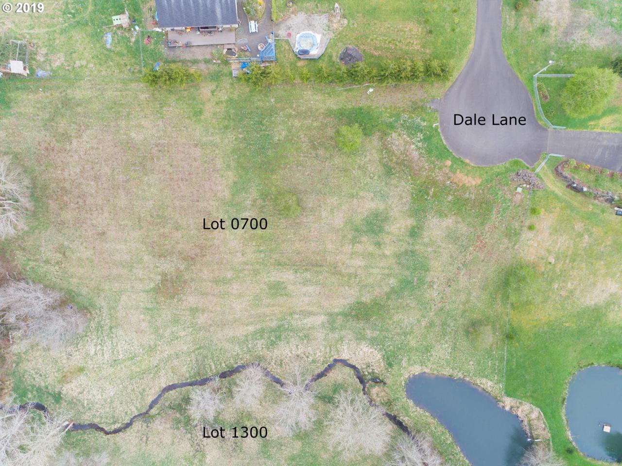 Vl Dale Ln (Lot0700) - Photo 1