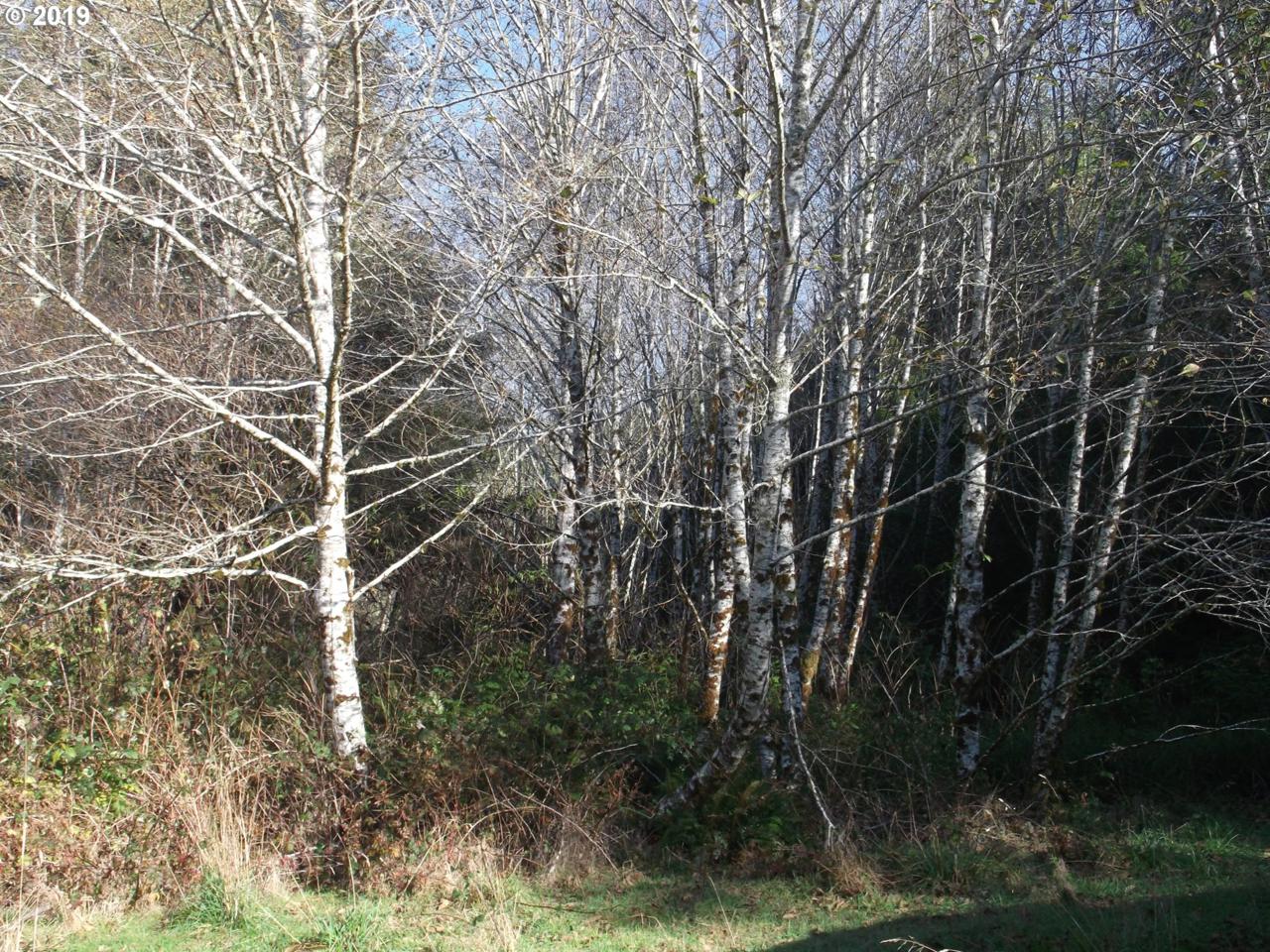 Irish Rd - Photo 1