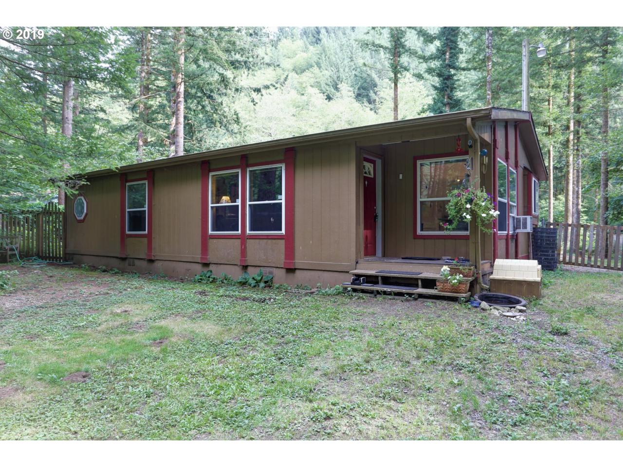 61 Dougan Falls Ln - Photo 1