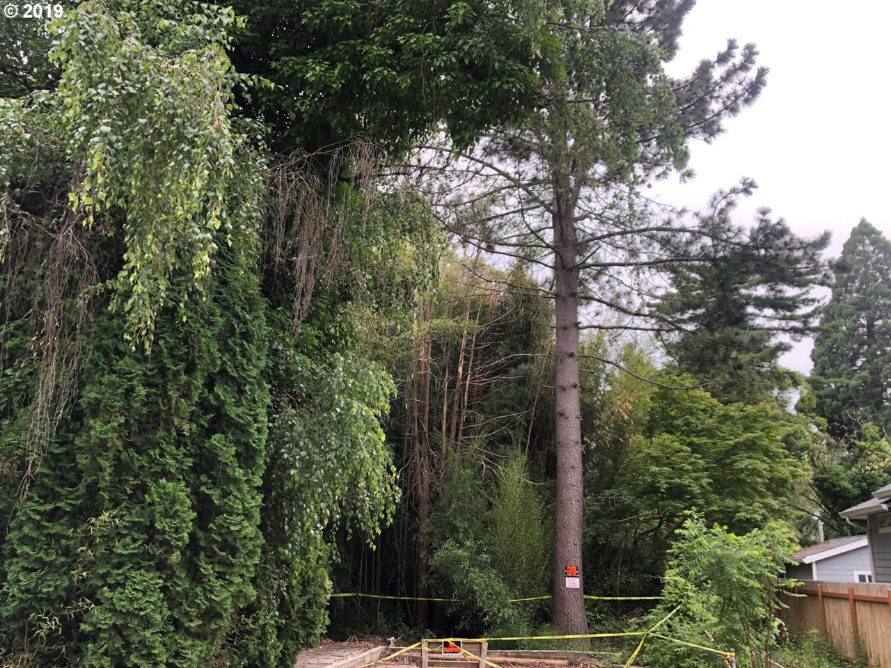 0 Tenino St - Photo 1