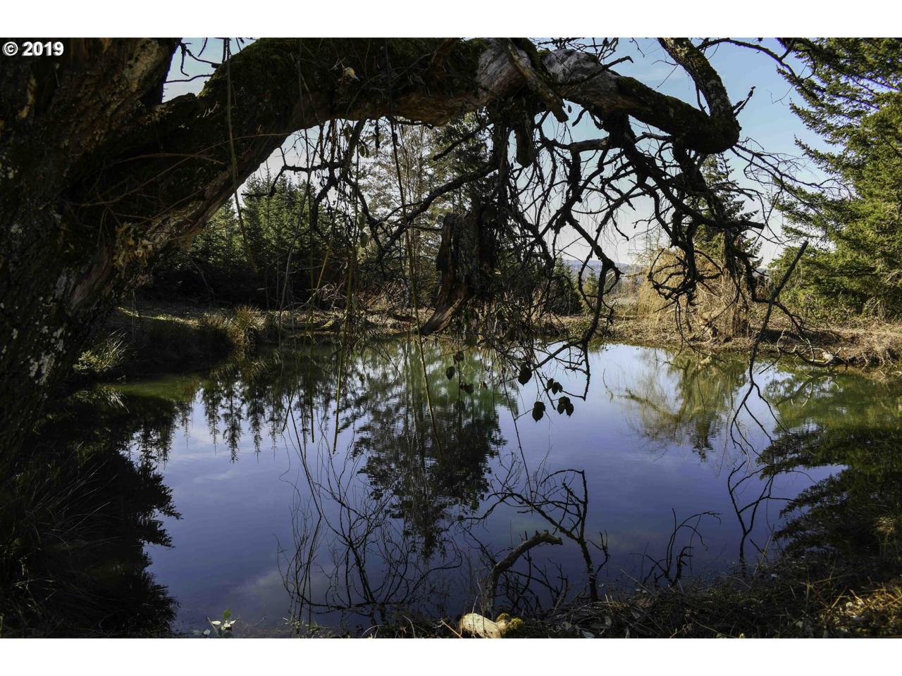 0 Duus Rd - Photo 1