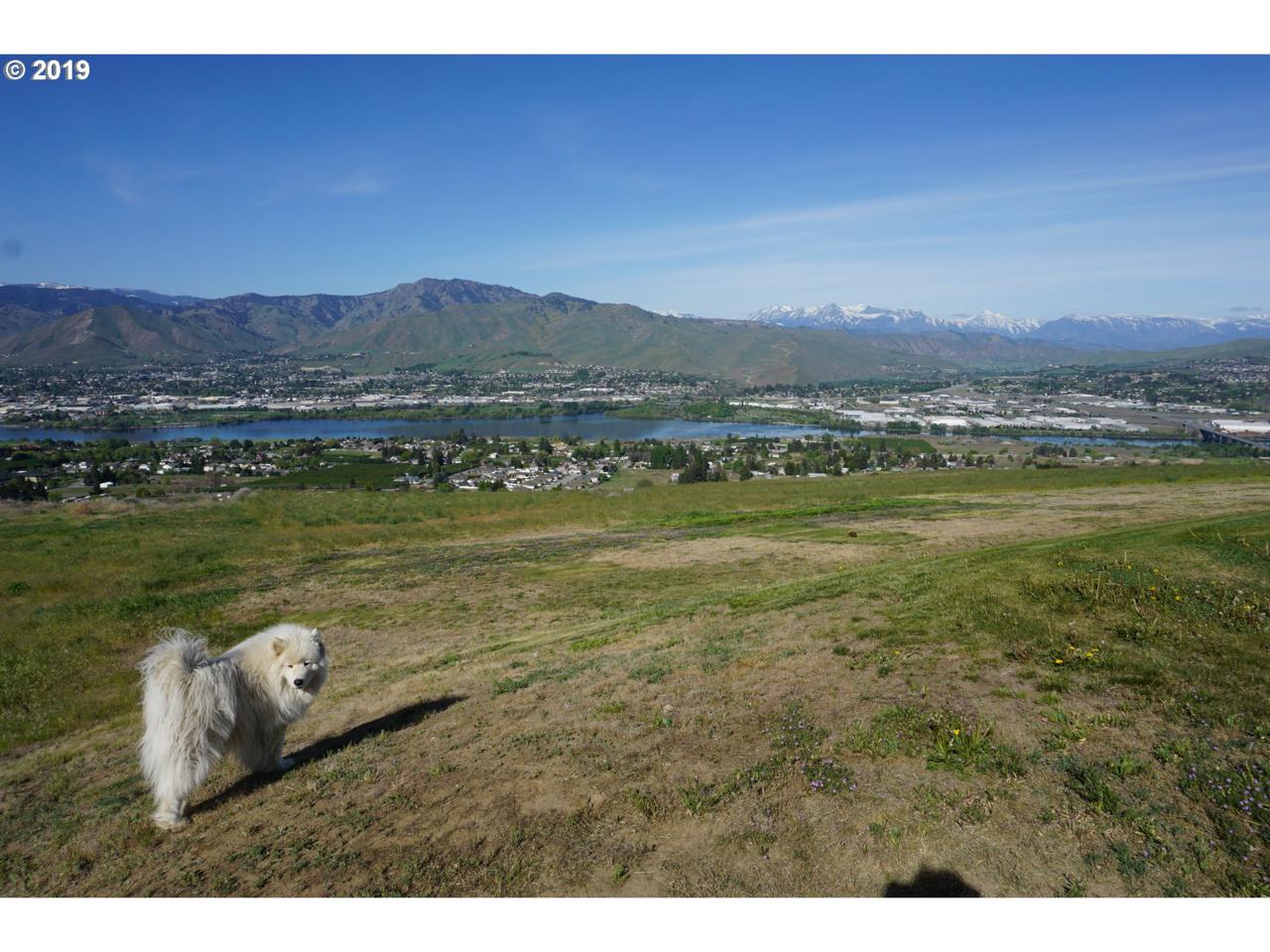 0 Cougar Ridge Road - Photo 1