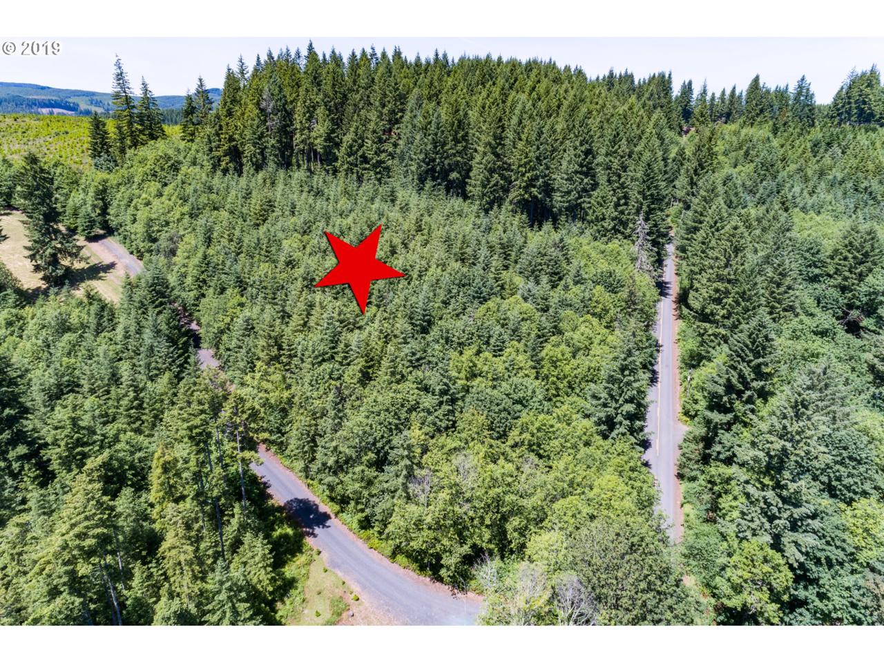 0 Walker Rd - Photo 1