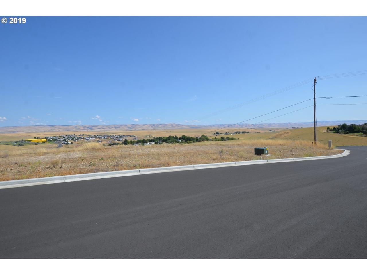 1333 17TH Pl - Photo 1
