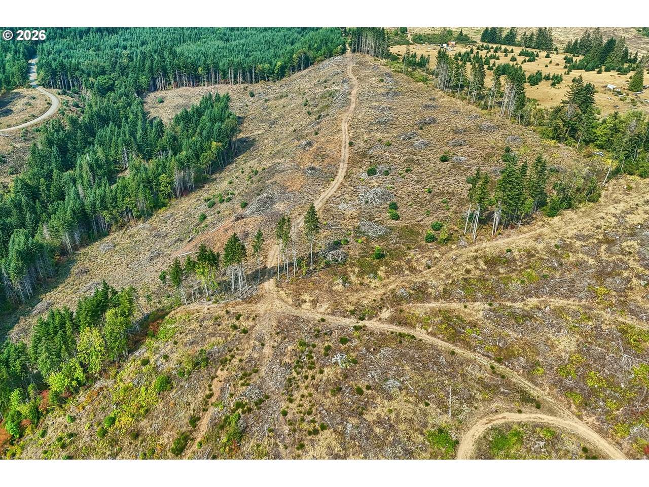 https://bt-photos.global.ssl.fastly.net/portland/1280_boomver_1_193798842-2.jpg
