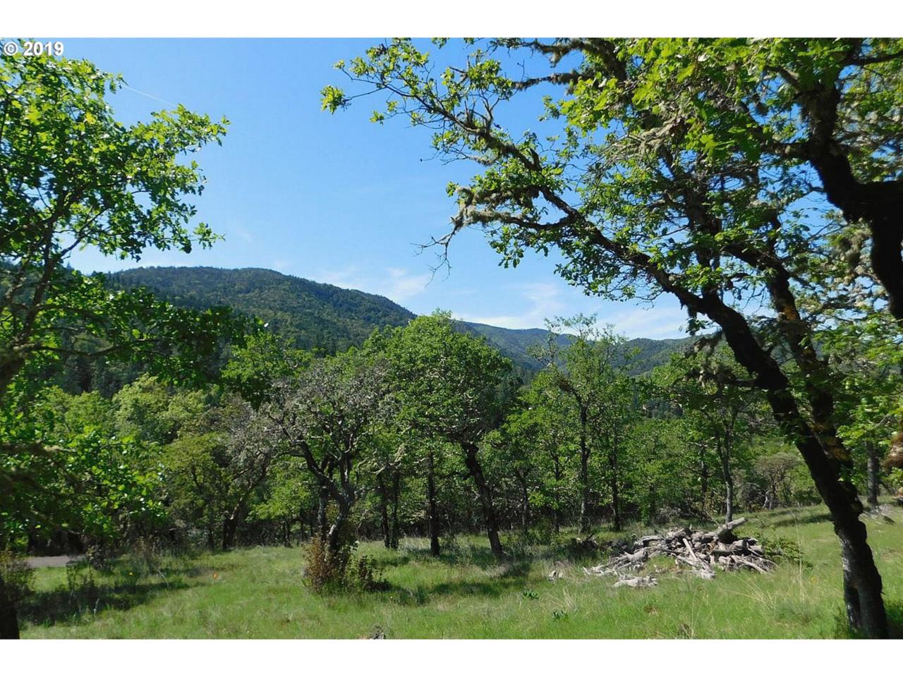 1545 Hwy 238 - Photo 1