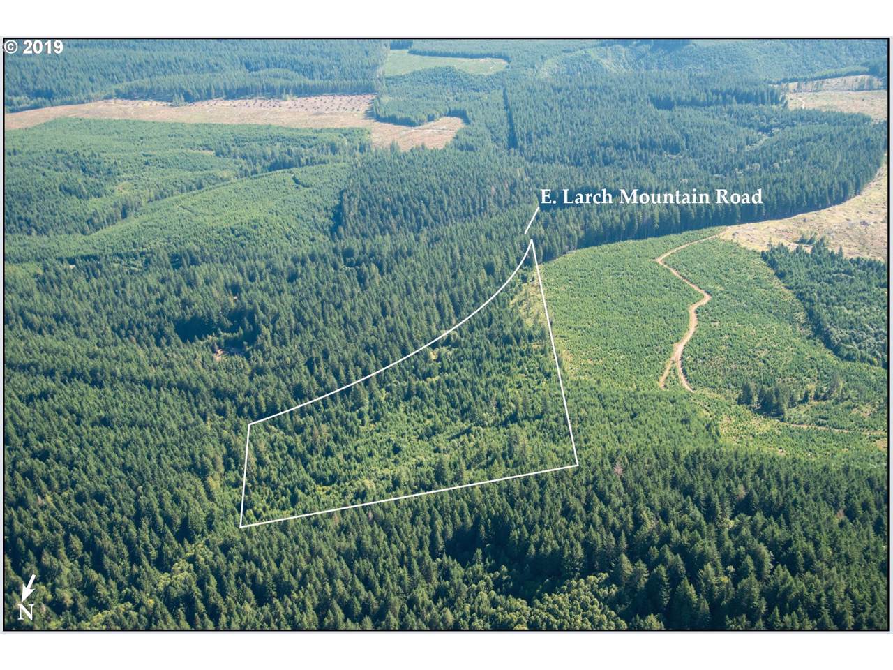 48601 Larch Mountain Rd - Photo 1