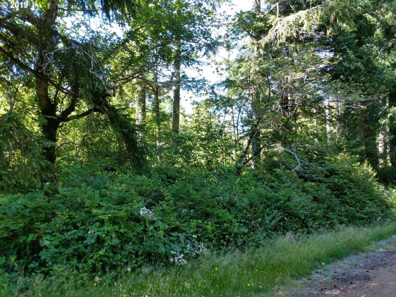Stackpole 1.55 - Photo 1