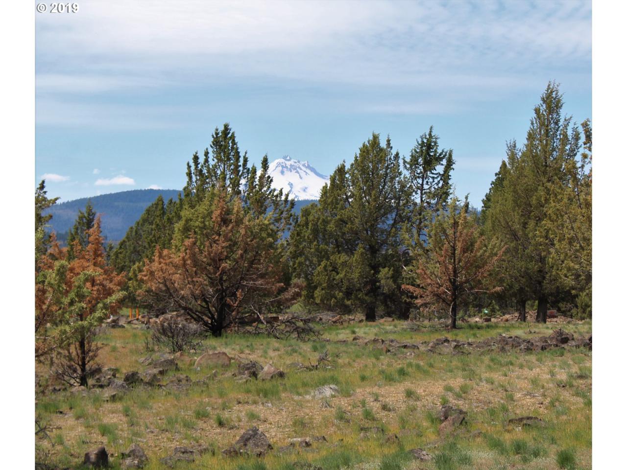 14043 Black Butte Ln - Photo 1