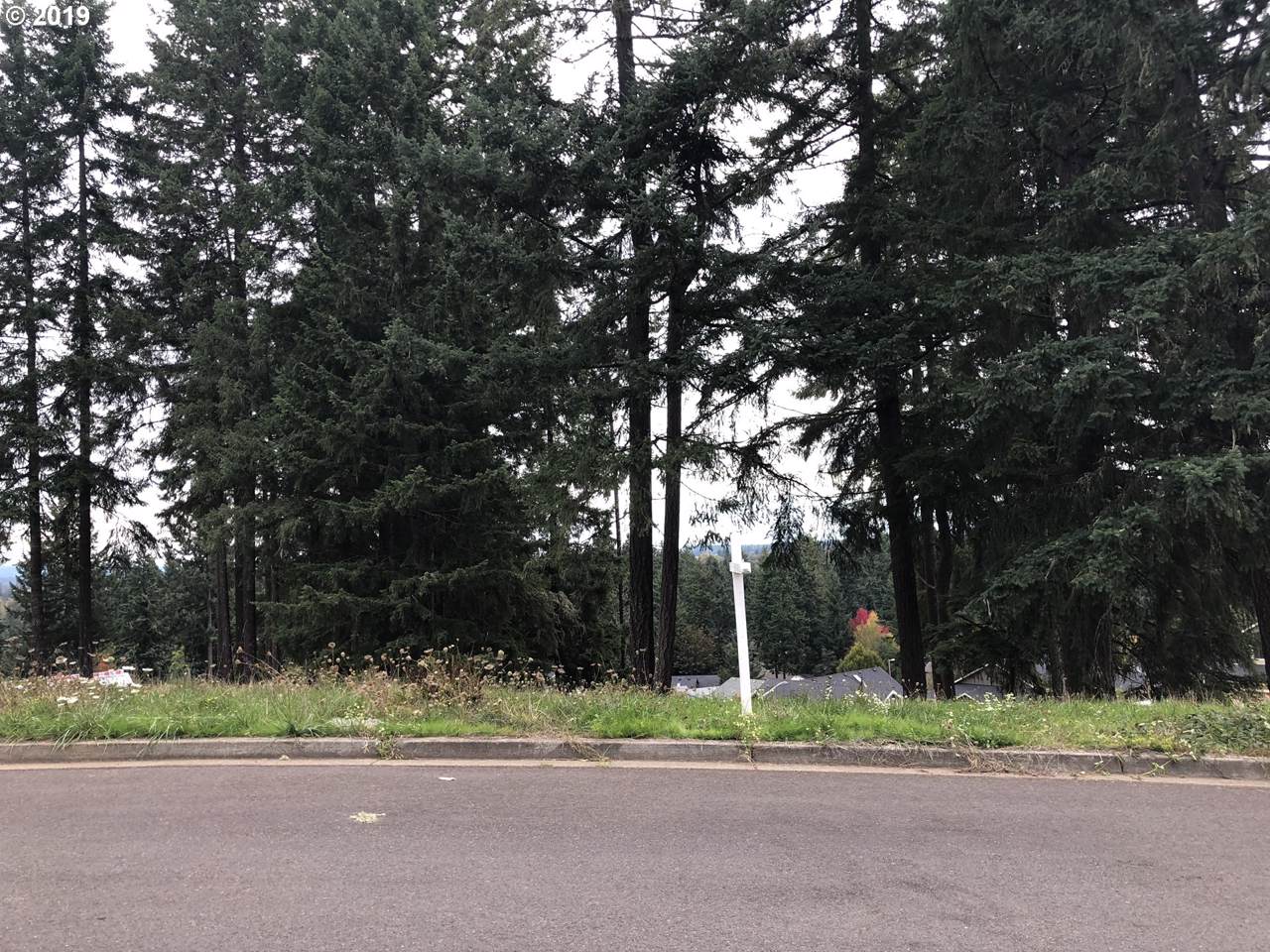 Aspen Heights-Lot 19 - Photo 1