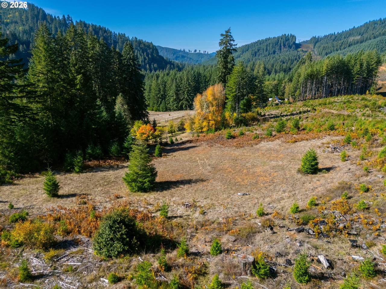 https://bt-photos.global.ssl.fastly.net/portland/1280_boomver_1_194647613-2.jpg