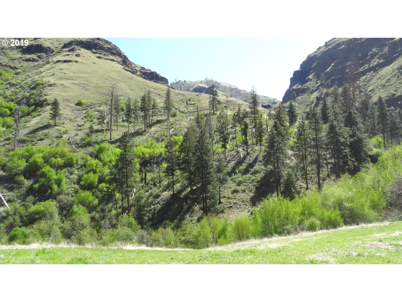 0 Lower Imnaha - Photo 1