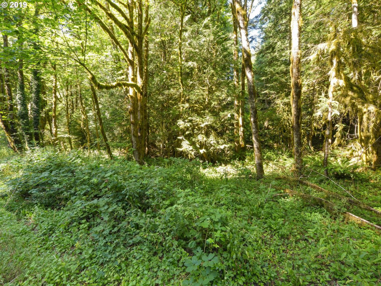0 Welches Rd - Photo 1