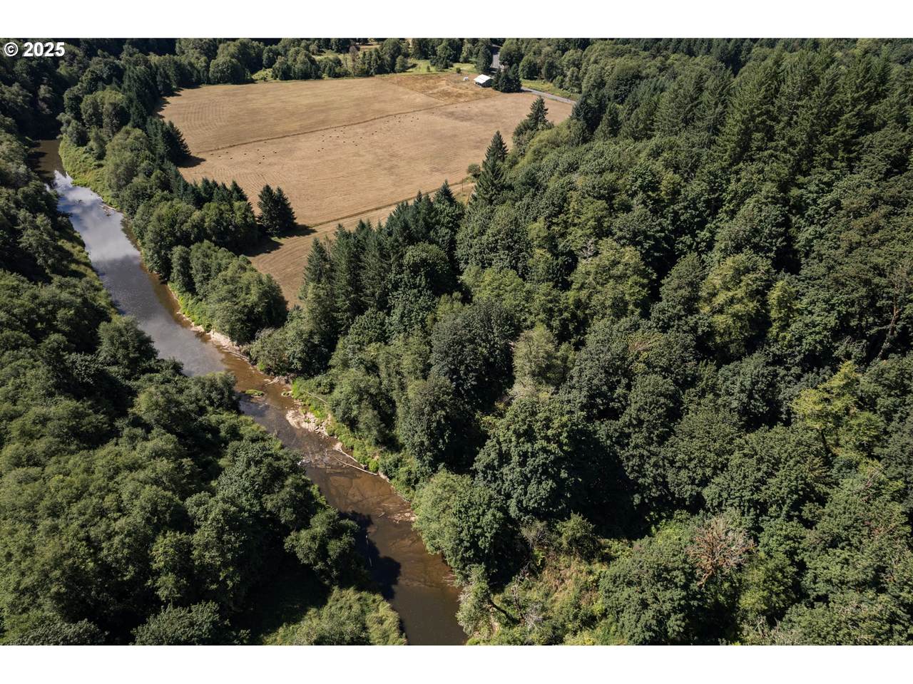  Old 77 Vesper Ln - Photo 1