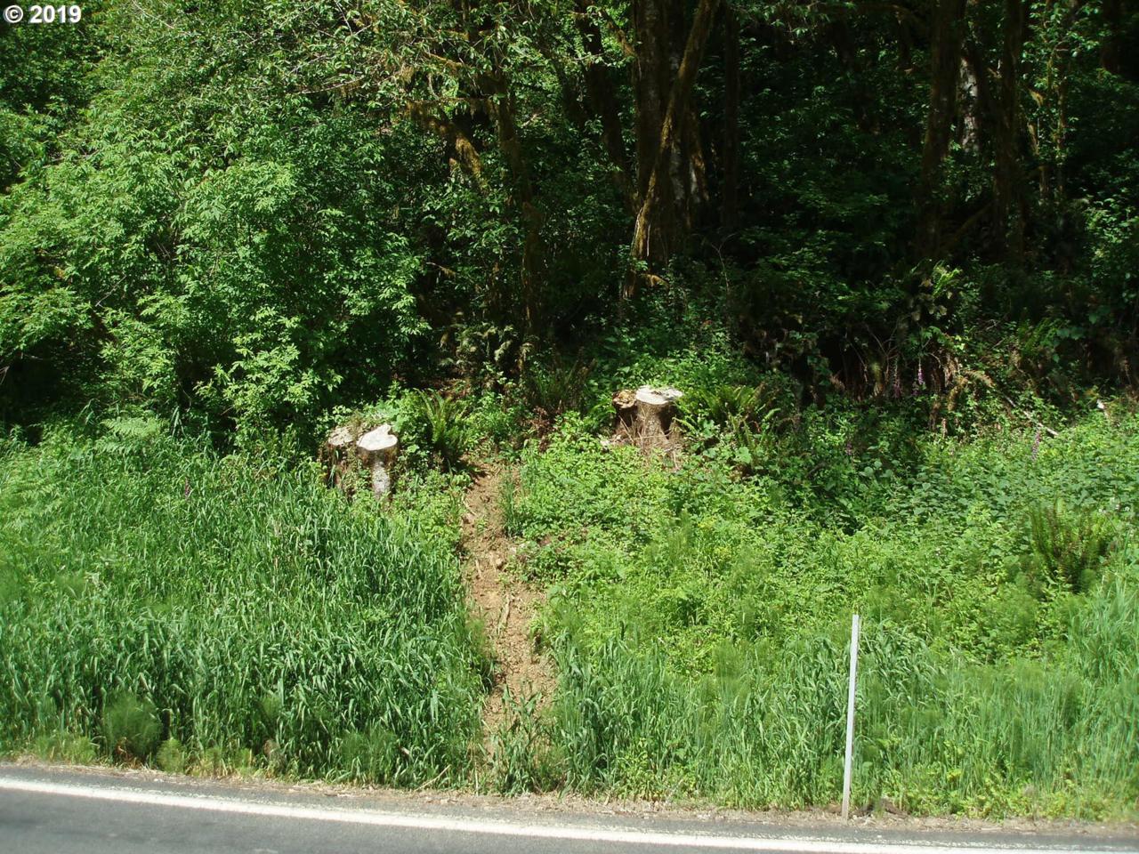 E. Alsea Hwy - Photo 1